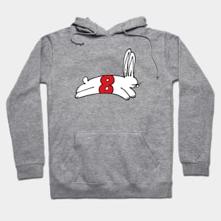 Rabb8 Hoodie